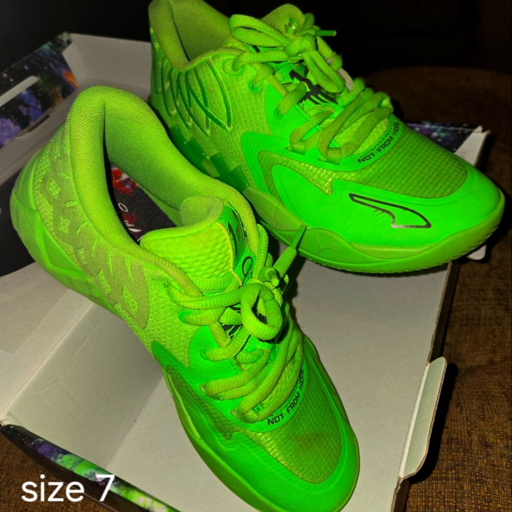 Lamelo one gecko